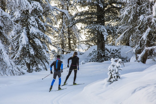 Langläufer Langtaufers