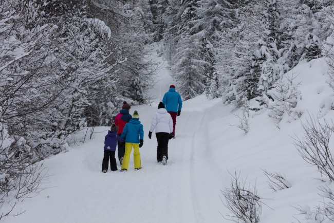 Winterwandern2